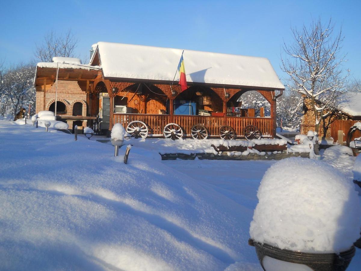 Pensiunea Roua Muntilor Sîmbăta de Sus 외부 사진