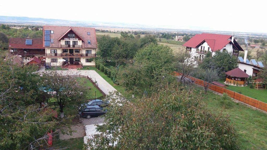 Pensiunea Roua Muntilor Sîmbăta de Sus 외부 사진